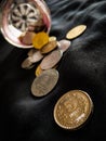 INDIAN COINS IN BLACK BACKGROUND