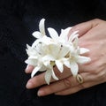 Indian Cork trees flower in grief mourning hand