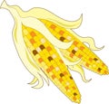 Indian Corn