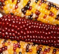 Indian Corn