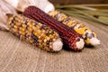 Indian Corn Royalty Free Stock Photo