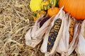 Indian corn cobs with fall ornamental gourds and a pumpkin Royalty Free Stock Photo