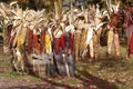 Indian corn hanging on a line Royalty Free Stock Photo