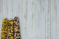 Indian corn husks and kernals. Colorful vegetable, on wood backdrop