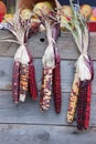 Indian corn husks Royalty Free Stock Photo