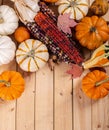 Indian Corn and Mini Pumpkins Royalty Free Stock Photo