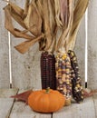 Indian Corn And Pumpkin Royalty Free Stock Photo