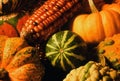 Indian Corn, Pumpkin, Ornamental Gourds Royalty Free Stock Photo