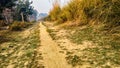 Indian countryside road. Road and Desmostachya bipinnata, kusha