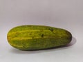 Indian cucumber landscape image vegetable good for health healthy diet