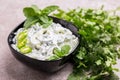 Indian cucumber raita with yoghurt, mint, cilantro. Greek tzatziki sauce Royalty Free Stock Photo