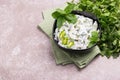 Indian cucumber raita with yoghurt, mint, cilantro. Greek tzatziki sauce Royalty Free Stock Photo