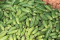 Indian Cucumbers at vegetable market. India Royalty Free Stock Photo