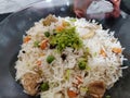 Indian cui sine Vegeatable  pulao Royalty Free Stock Photo