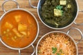 Various Bowls of Indian Cuisine Royalty Free Stock Photo