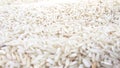 Indian Cuisine Basmati Rice /Chaval /Bhat Royalty Free Stock Photo