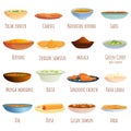 Indian cuisine icons set, cartoon style