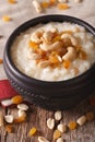 Indian cuisine: kheer rice pudding with nuts and raisins close-up. vertical
