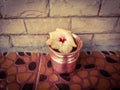 Indian culture - Beautiful Hibiscus flower in copper kalasa