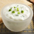 Cucumber Raita Indian Food Royalty Free Stock Photo