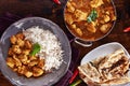 Indian curry meal Royalty Free Stock Photo