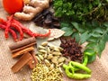 Indian Curry Spices Royalty Free Stock Photo