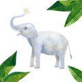 Indian cute baby elephant holds a white flower: frangipani or plumeria and green tropical leaves. Hand drawn watercolor