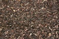 Indian darjeeling loose black tea background and texture Royalty Free Stock Photo