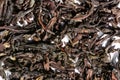 Indian darjeeling loose black tea background and texture. macro Royalty Free Stock Photo
