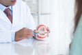 Indian dentist man holding jaw model, toothbrush. Middle aged doctor demonstrate right way to clean teeth and gums by brushing to Royalty Free Stock Photo