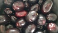 Indian desi black plum fruit Royalty Free Stock Photo