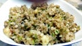 Indian dish made out of Sago called Sabudana khichdi Royalty Free Stock Photo