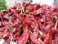 Indian dry red chillies & x28;bedgi mirch& x29; Royalty Free Stock Photo