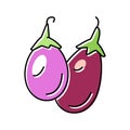 indian eggplant color icon vector illustration Royalty Free Stock Photo