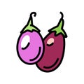 indian eggplant color icon vector illustration Royalty Free Stock Photo