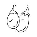 indian eggplant line icon vector illustration Royalty Free Stock Photo