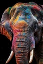 Indian elephant with colorful paint during Holi Royalty Free Stock Photo