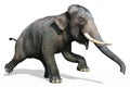 Indian Elephant isolated on white background 3d illustration Royalty Free Stock Photo