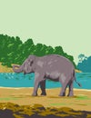 Indian Elephant in Mahanadi Elephant Reserve in Odisha India Art Deco WPA Poster Art