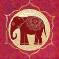 Indian elephant Royalty Free Stock Photo