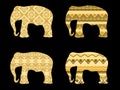 Indian elephant pattern. Vector illustration. Royalty Free Stock Photo