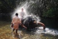 Indian elephant playing in the river Royalty Free Stock Photo