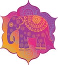 Indian elephant with texture