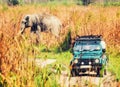 An Indian elephant with Tourists