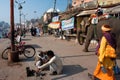 Indian elephant walking along a barber