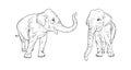 Indian elephants isolated on white background. Realistic adult elephants. Vector illustration
