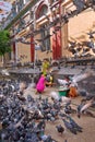 Indian family surrounded with pigeons. Two nearby vendors are ready to sell them pigeon food.