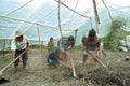 Indian family work together in horticulture