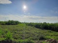 An indian farm , clouds , sun