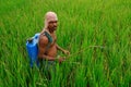 Indian farmer